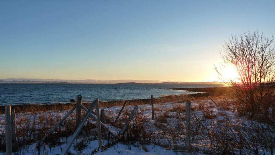 Ved Porsangerfjorden (Foto: Angelika Lätsch)
