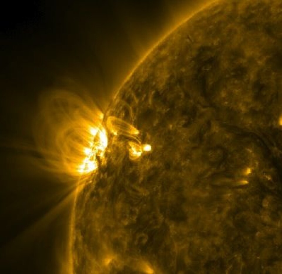 'I'm back!' Solflekk-bølle AR 1429 har fullført en runde, og er klar for mer (radio)støy. Her sett fra NASAs SDO på fredagskvelden. (Foto: (NASA SDO))