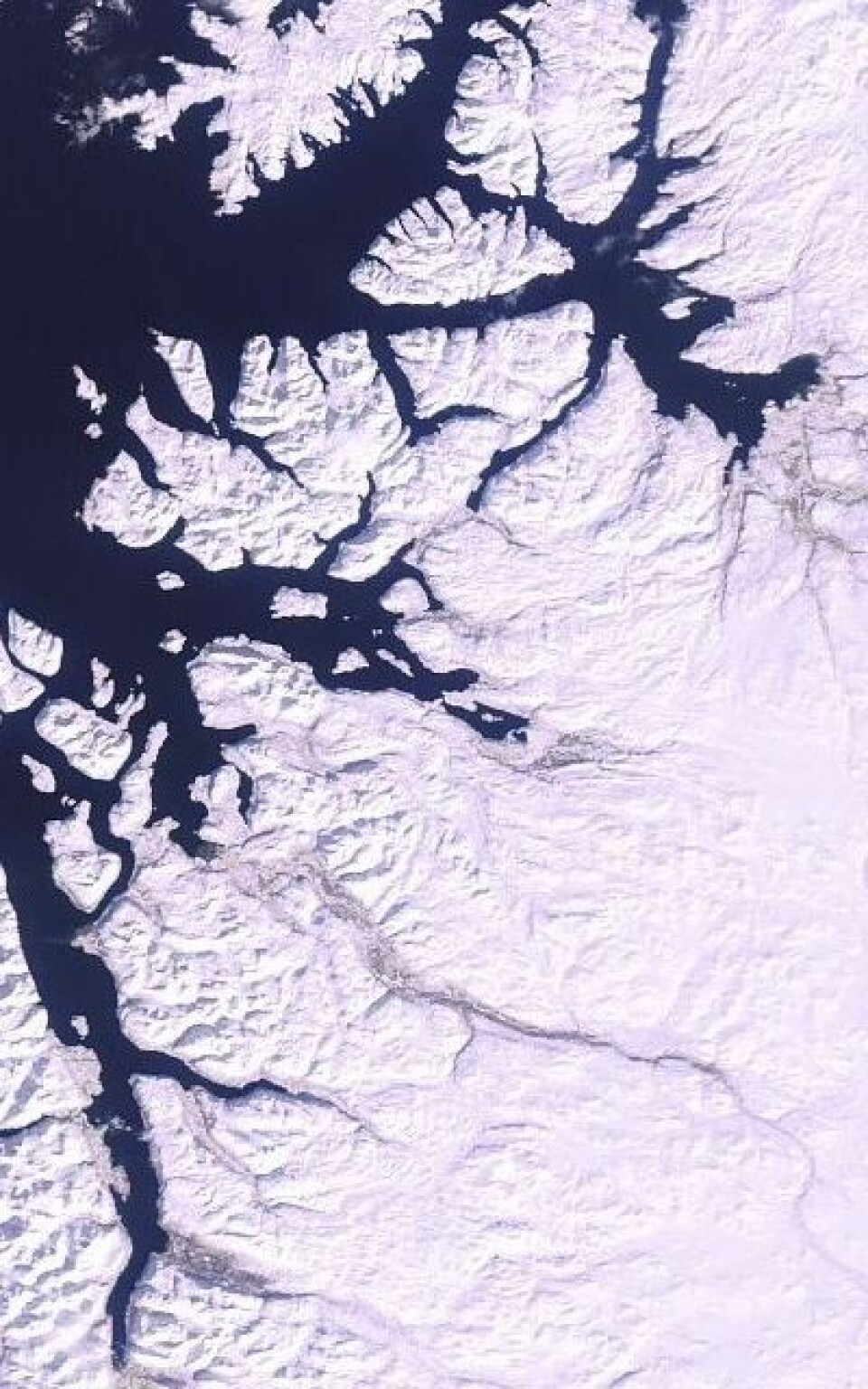 Snøen dominerer fortsatt i Finnmark og Nord-Troms, her sett fra ENVISAT torsdag 29. mars. (Foto: (ESA MERIS))