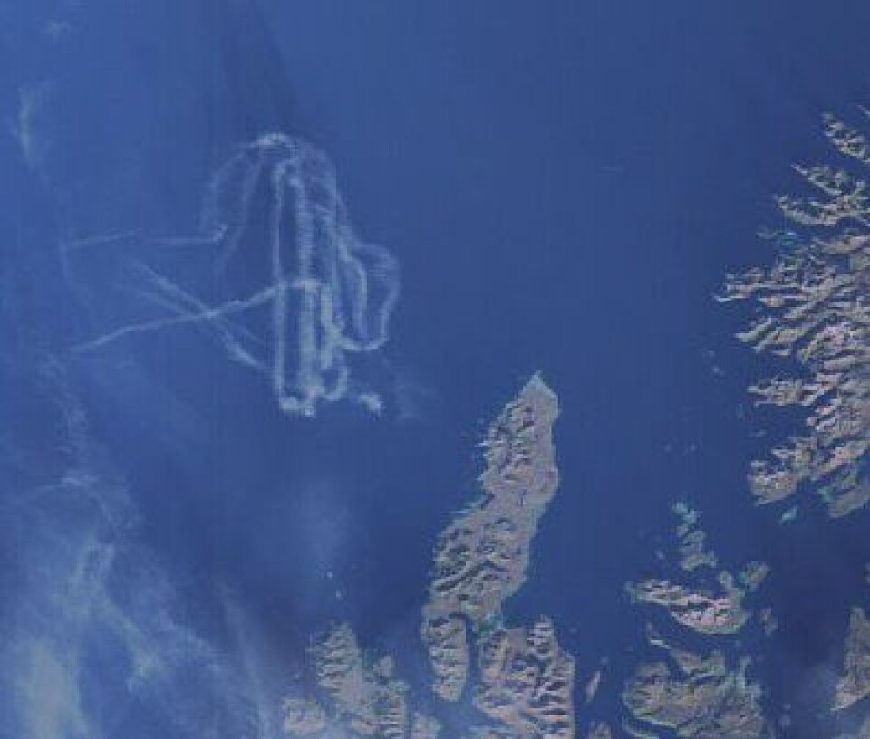 Merkelige røyk- eller skyformasjoner utenfor Andøya, sett 1. oktober fra ENVISAT. Mitt tips er at vi her ser en hvalsafari. Noen andre forslag fra leserne? (ESA)