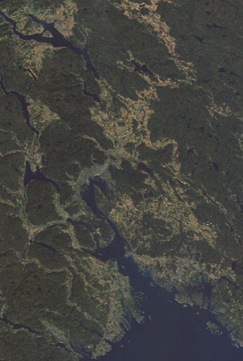 Grønn skog, høstgule jorder og ingen snø. Slik så det ut i det sentrale Østlandsområdet sett fra ENVISAT 29 september. (ESA)