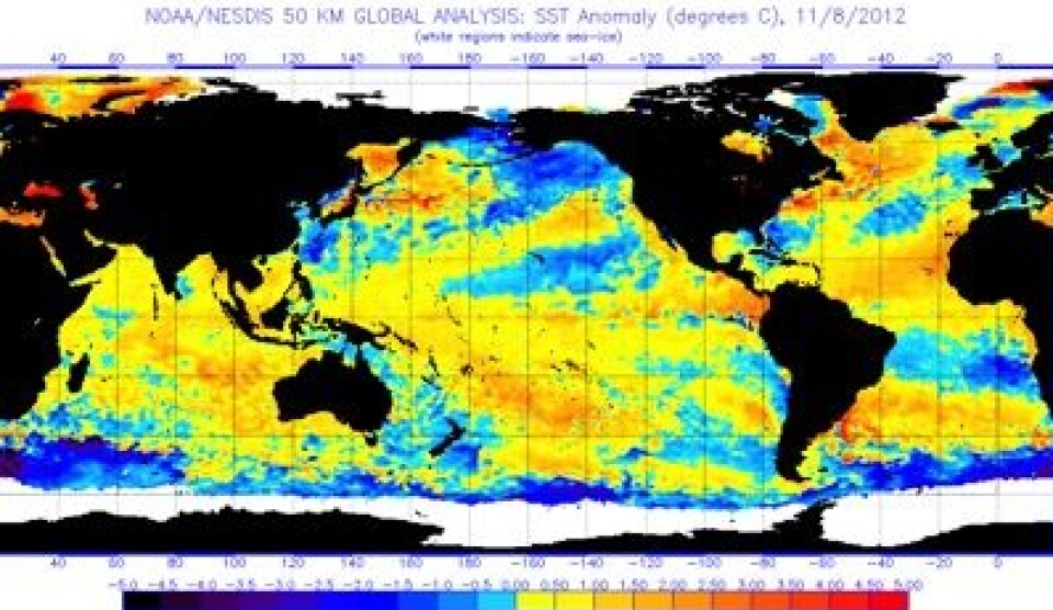 Satellittmålt temperatur i havoverflaten 8. november. Temmelig varmt, globalt sett. (Foto: (NOAA))