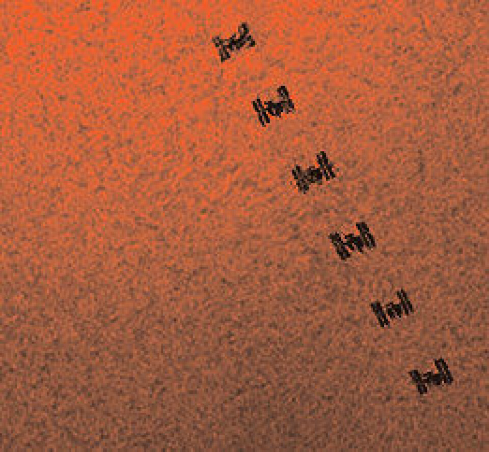 Romstasjonen fotografert med sola i bakgrunnen. Se www.spaceweather.com den 6. oktober for mer informasjon om dette fine bildet.