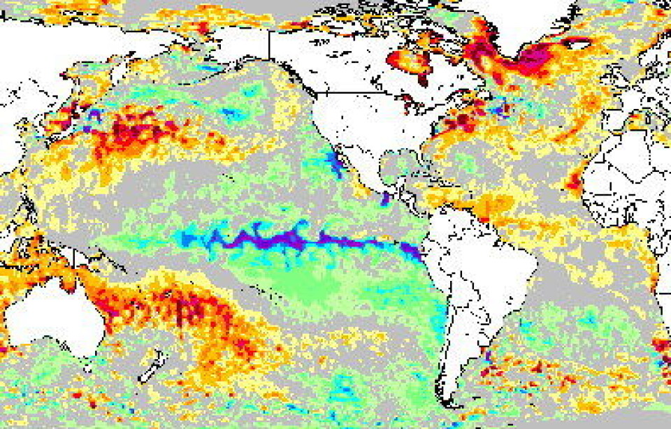 Temperatur i havoverflaten 7 oktober. Blått er kaldere en normalt, rødt er varmere enn normalt (NOAA).