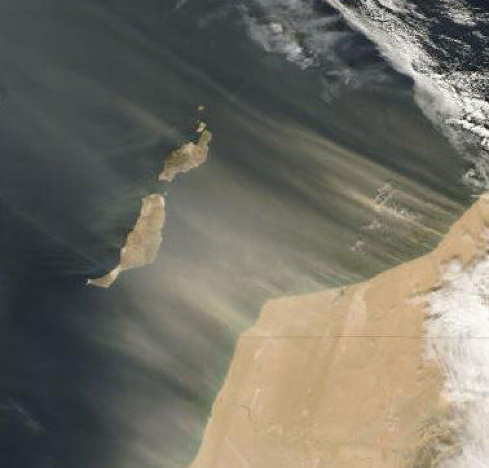 NASA setter nå satellitt-fokuset på hva som skjer med ørkensanden som blåser fra Sahara. (NASA)