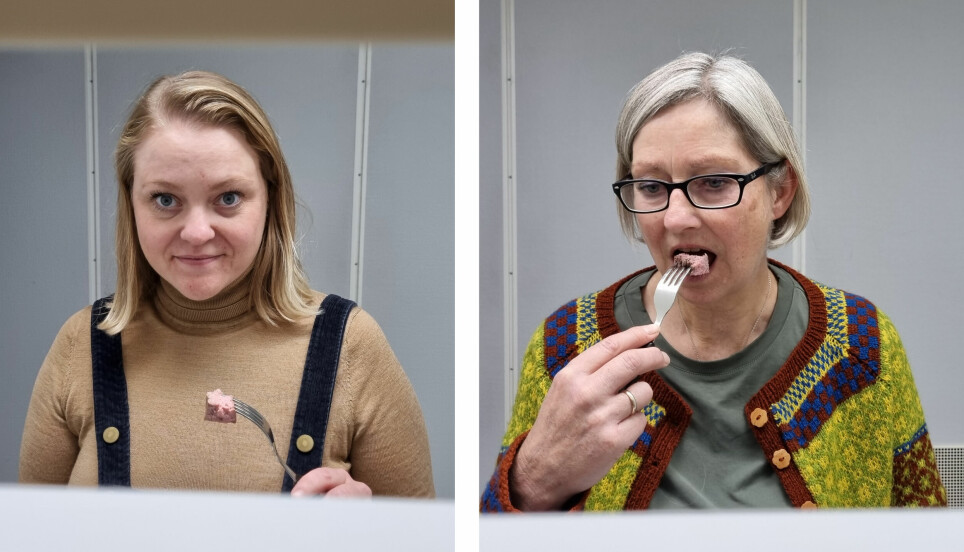 Jobben deres er å finsmake mat for forskere. Anine K. Dahl Kallstad (til venstre) og Kristin Enger jobber som smaksdommere ved Nofima.