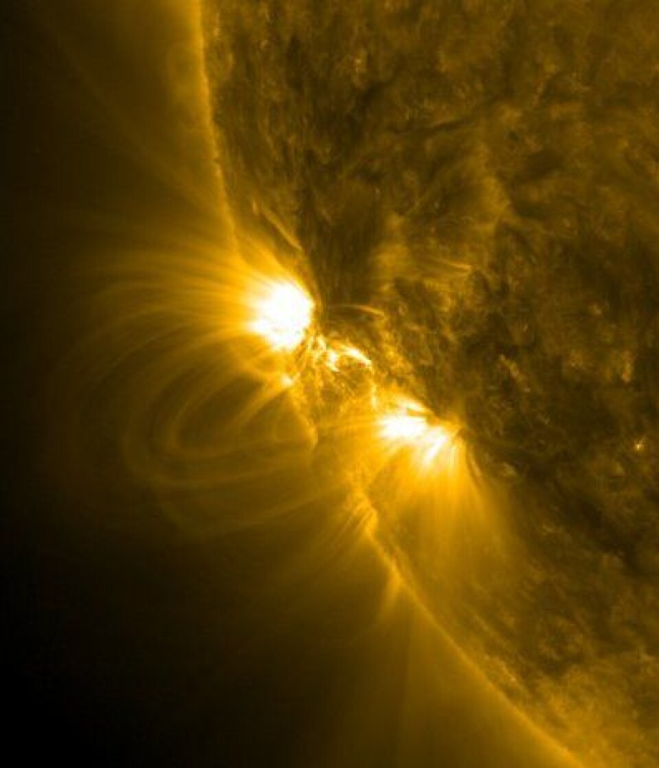NASAs Solar Dynamics Observatory (SDO) er vårt nye vindu mot sola. Her er solflekk nr 1112 i ferd med å fødes på solranda. (NASA)