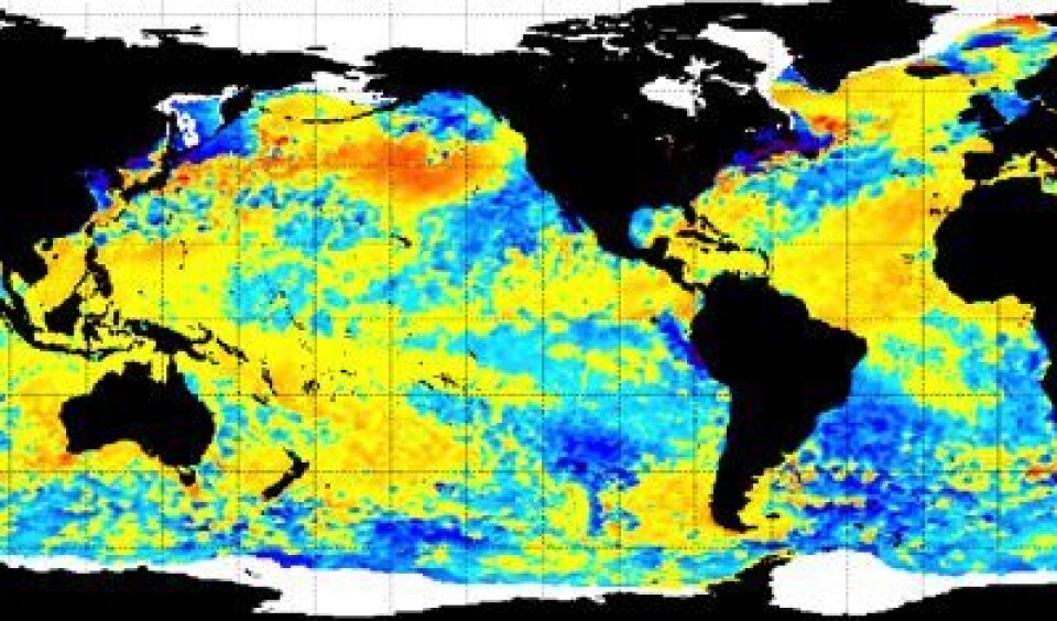 Ukens havtemperatur, målt fra satellitt. Ser ut til at det er oppvelling av kaldt vann utenfor kysten av Peru nå ... (Foto: (NOAA))