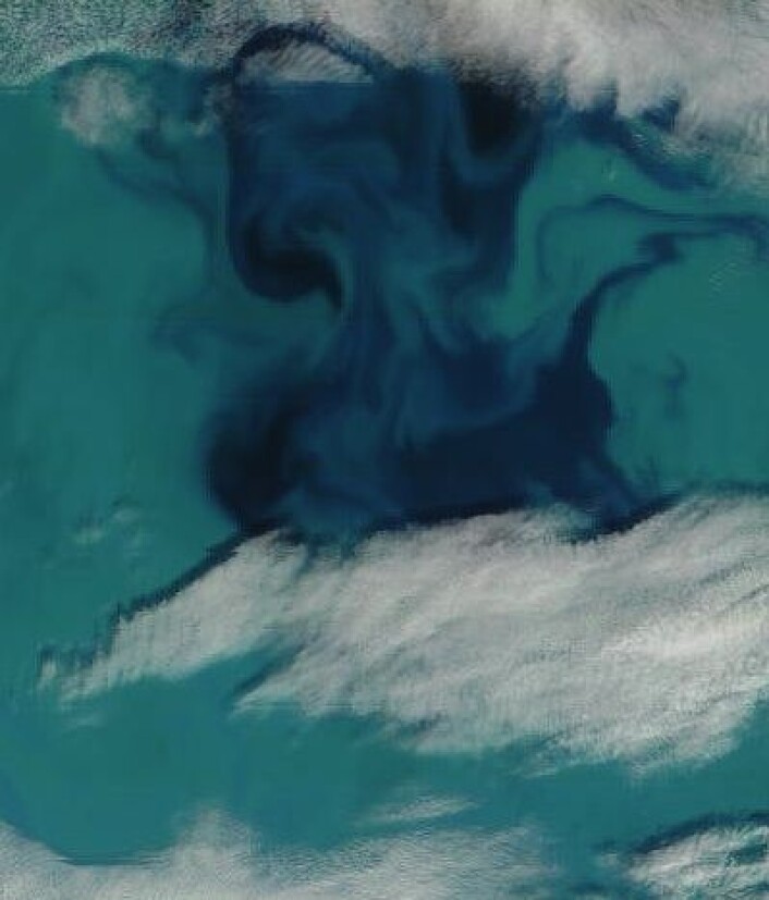 Blue Hawaii? Nei, Barentshavet like øst for Bjørnøya, sett fra NASA-satellitt 28. juli. (Foto: (NASA MODIS)) Blue Hawaii? Nei, Barentshavet like øst for Bjørnøya, sett fra NASA-satellitt 28. juli. (Foto: (NASA MODIS))