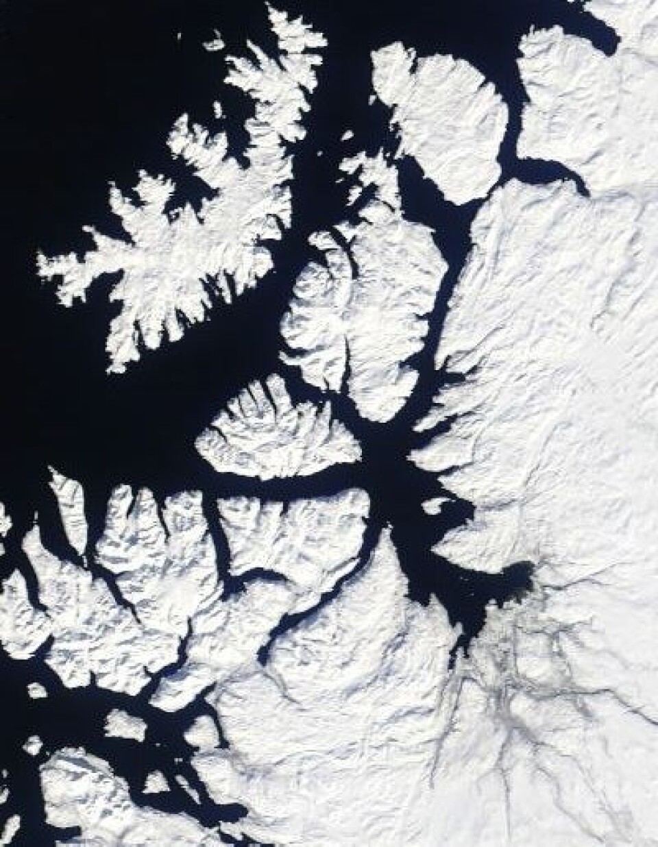 9. april 2012. Her er Altafjorden sett fra rommet. (Foto: (NASA MODIS))