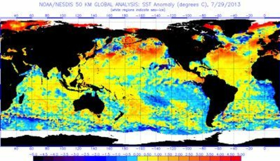 Satellittmålt temperatur i havoverflaten (avvik fra normalen), oppdatert av NOAA 29. juli. (Foto: (NOAA))