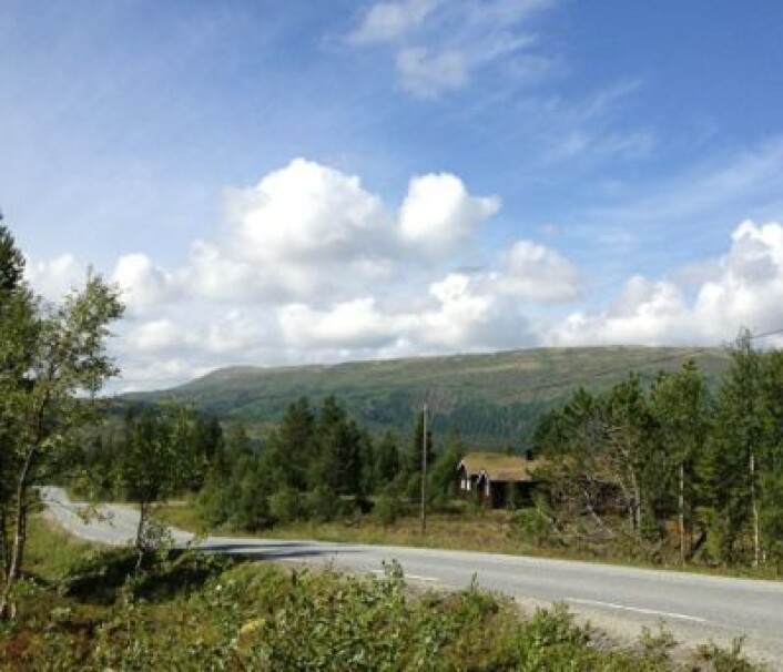 Stemningsbilde fra Hessdalen. Uten mystiske lys-fenomener. (Foto: T. Wahl) Stemningsbilde fra Hessdalen. Uten mystiske lys-fenomener. (Foto: T. Wahl)