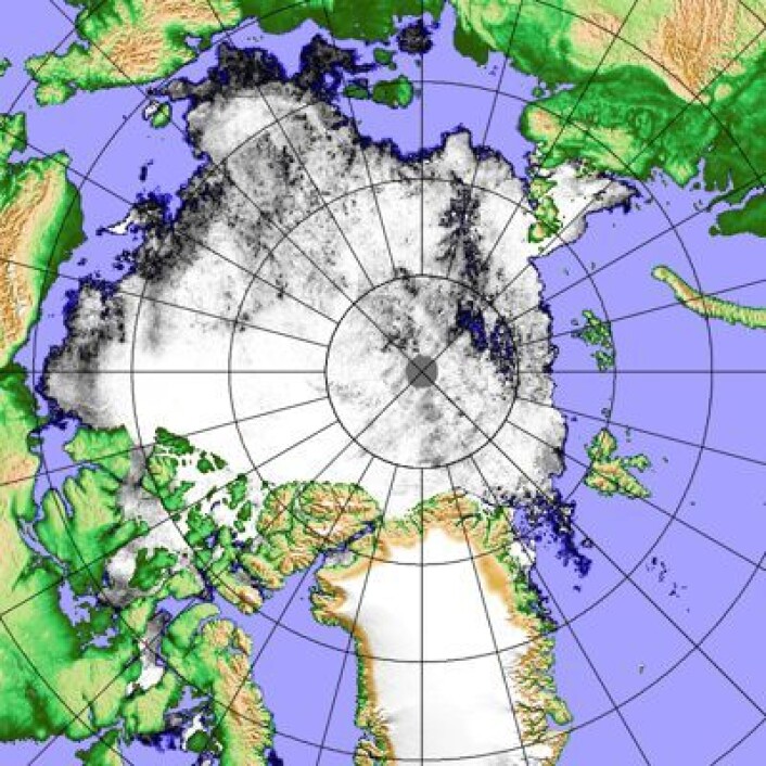 Iskart for Arktis 1. august, basert på tysk analyse av AMSR2-data fra japansk satellitt lest ned på Svalbard. (Foto: (PolarView, Univ Bremen)) Iskart for Arktis 1. august, basert på tysk analyse av AMSR2-data fra japansk satellitt lest ned på Svalbard. (Foto: (PolarView, Univ Bremen))