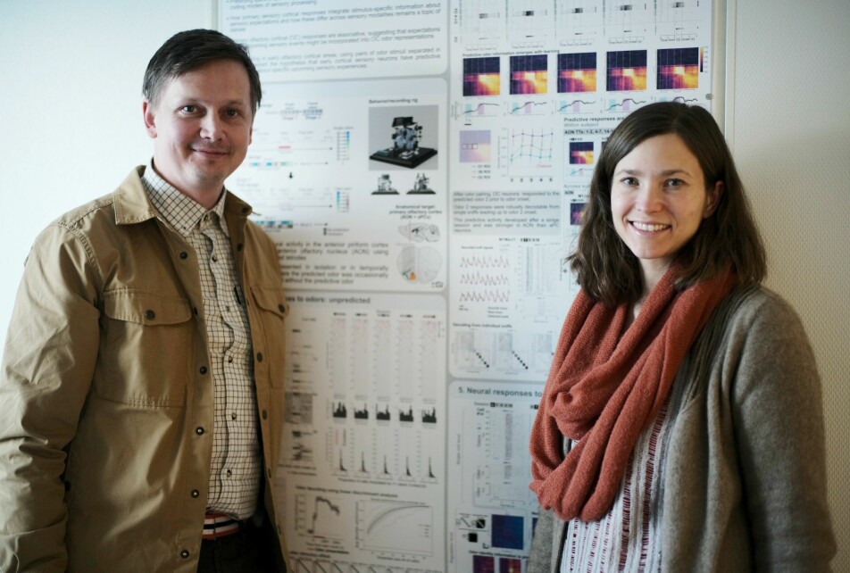 Married couple Hanne and Tor Stensola have been all over the world with the world’s most outstanding brain researchers.