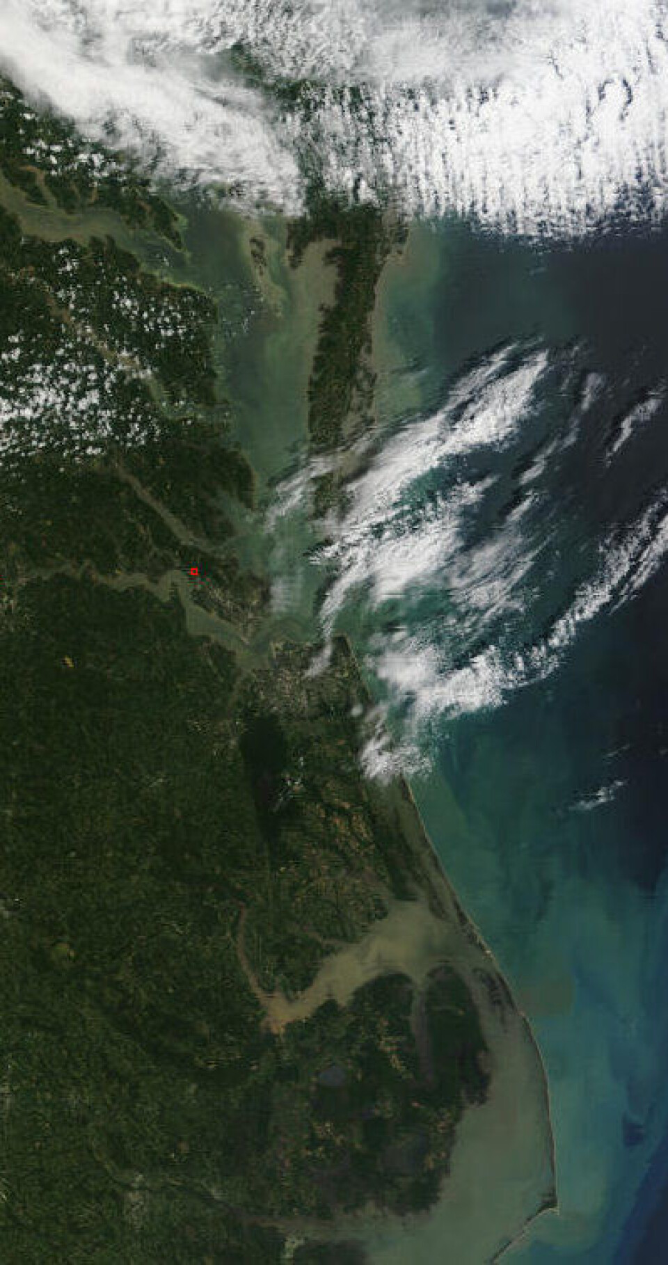 Chesapeake Bay, Kitty Hawk, Wallops Island og Cape Hatteras titter fram igjen etter at Irene har passert. NASAs satellitt Terra tok dette bildet i dag kl 16:15 UTC. (Foto: (NASA))