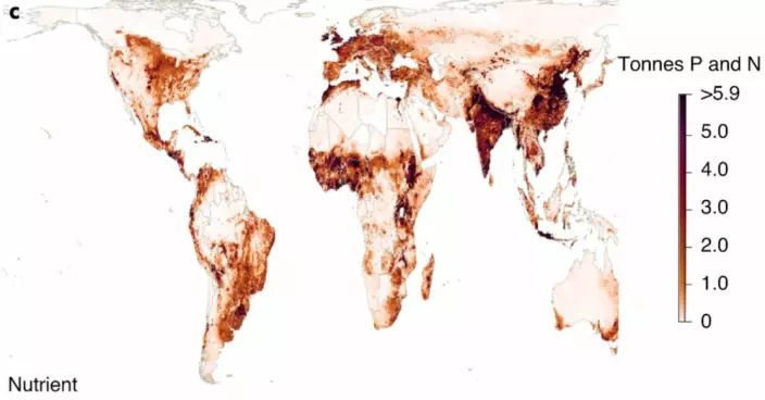 This map shows levels of overuse of nitrogen and phosphorus nutrients.