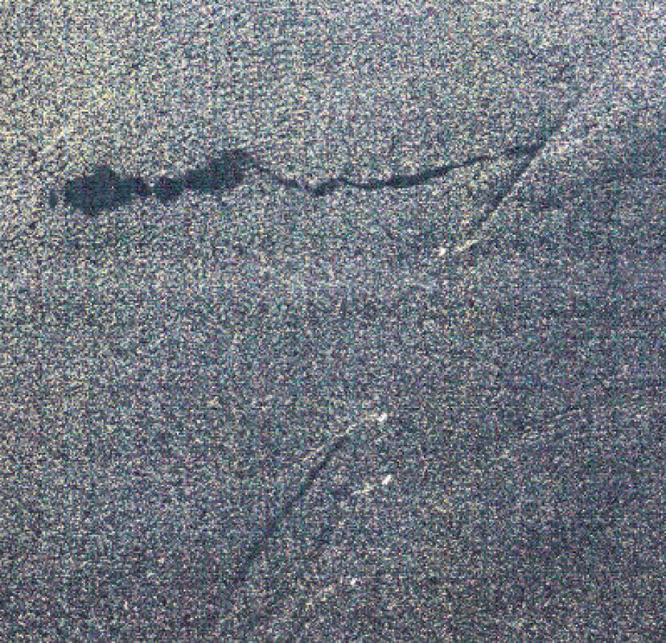 5 august 1991 passerte ERS-1 over Kattegat og tok et av sine aller beste bilder. Her kunne vi se mye av det vi hadde håpet på: Skip, kjølvann og oljesøl. (Foto: (ESA/TSS))