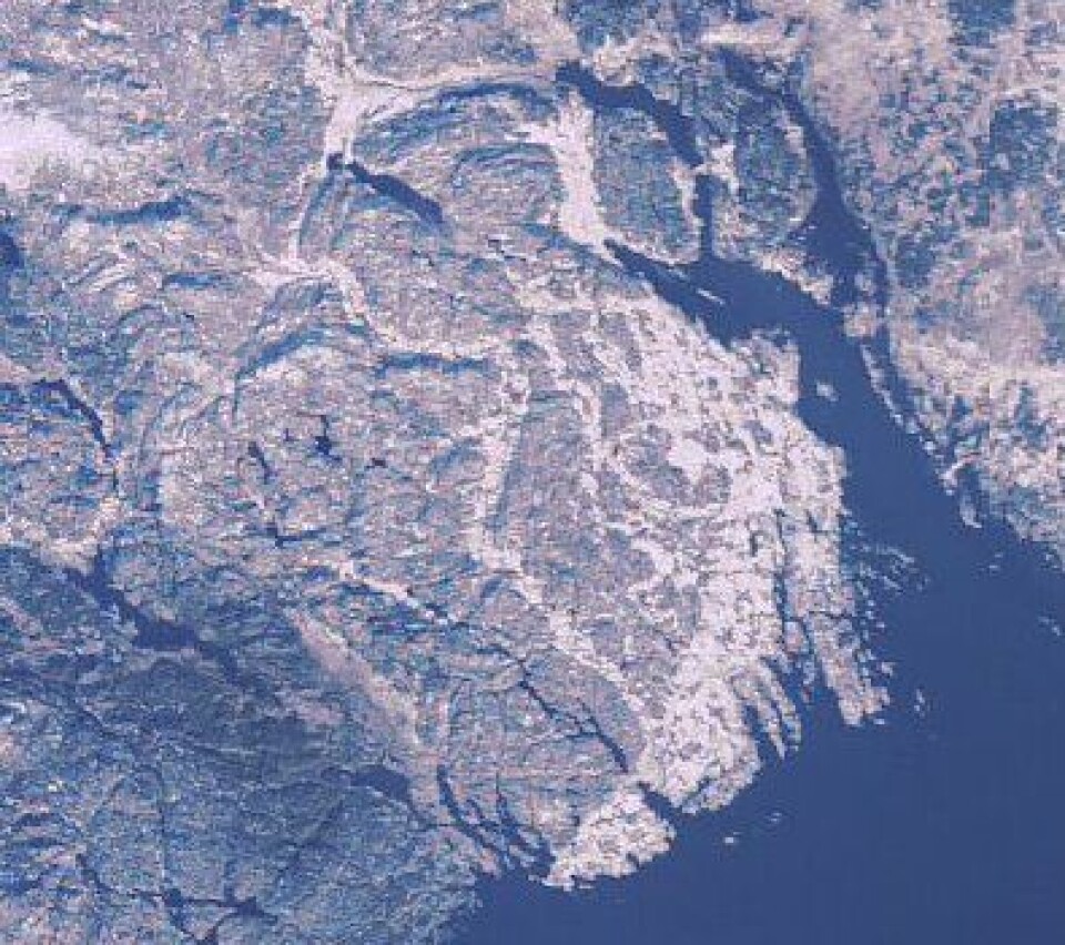 Met.no meldte om 5 cm snødekke i Vestfold 11. november, mens deler av Telemark var snøfritt. ENVISAT er enig. (ESA)