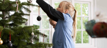 A plastic Christmas tree can never trigger the same Christmas spirit as a freshly-cut tree with fragrant needles