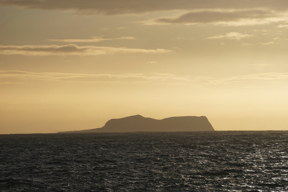 På 1960-tallet steg vulkanøya Surtsey opp av havet utenfor Island.