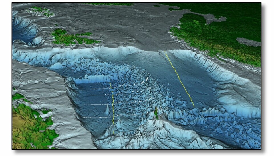 Trodde du havbunnen er flat? Her ser du fjellene på bunnen av Norskehavet og Grønlandshavet i Nord-Atlanteren. Norge ser du til høyre, Grønland til venstre og Svalbard øverst. Du kan også skimte Jan Mayen som en høy grønn topp i midten. Høydekartet er laget av Oljedirektoratet og høydeforskjellene er overdrevet.
