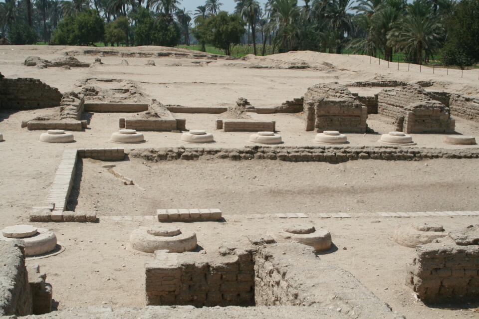 Ruinene av Det nordlige palasset ved Amarna. Det ble gravd ut på 1920-tallet. Da ble også veggmaleriet avdekket.