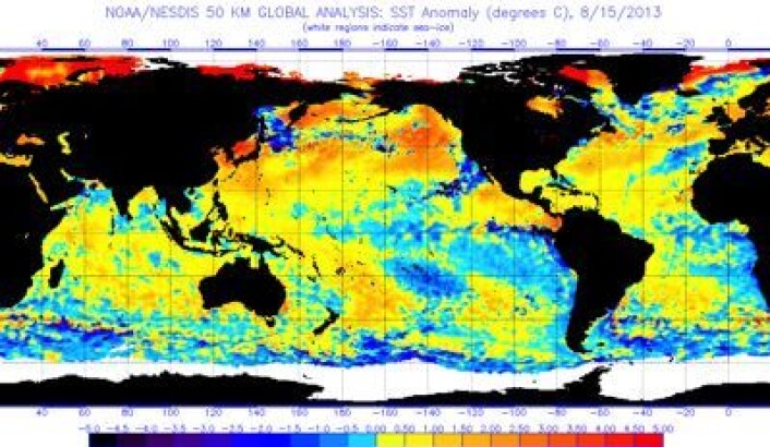 Satellittmålt temperatur (avvik) i havoverflaten, oppdatert 15. august. (Foto: (NOAA)) Satellittmålt temperatur (avvik) i havoverflaten, oppdatert 15. august. (Foto: (NOAA))