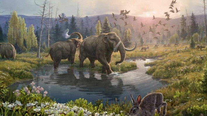 Slik kan det ha sett ut på Grønland for to millioner år siden. Illustrasjonen viser mastodonter og planter, som forskerne fant DNA fra.
