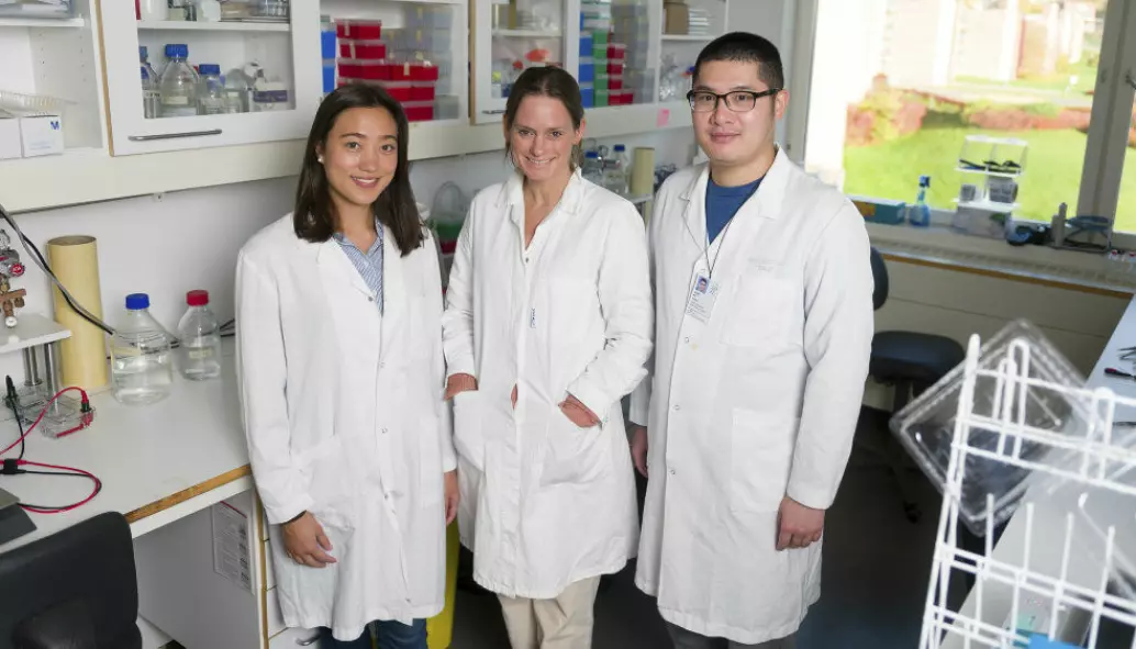 Forskerne Miriam Aarsund Larsen (t.v.), Marit Inngjerdingen og Yunjie Wu (t.h.) forsker på det som kan bli en mulig ny type behandling mot kreft.