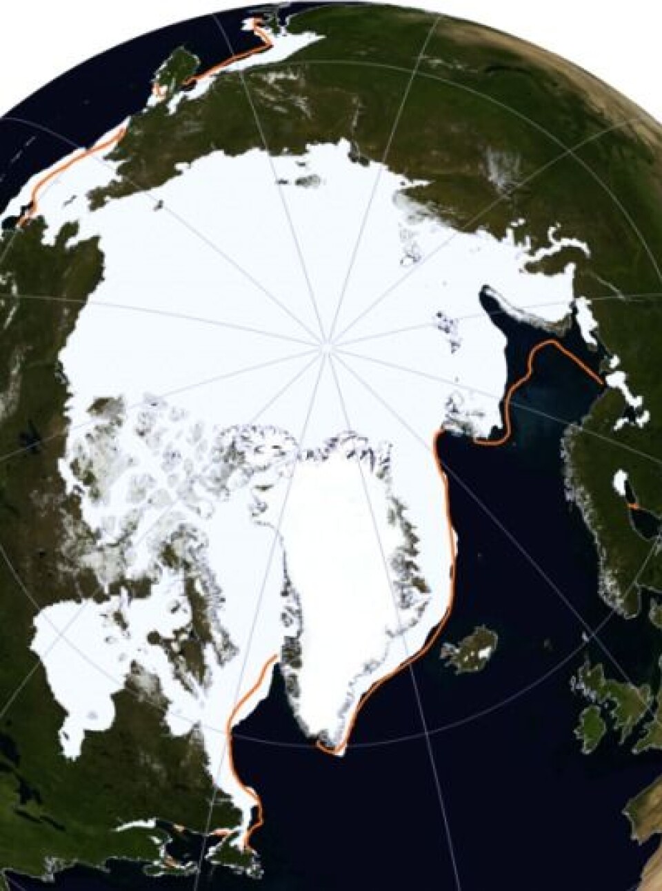 Det var en meget asymmetrisk vinter: Fortsatt lite sjøis i Barentshavet, og mye sjøis ved Beringstredet. (Foto: (NOAA NSIDC))