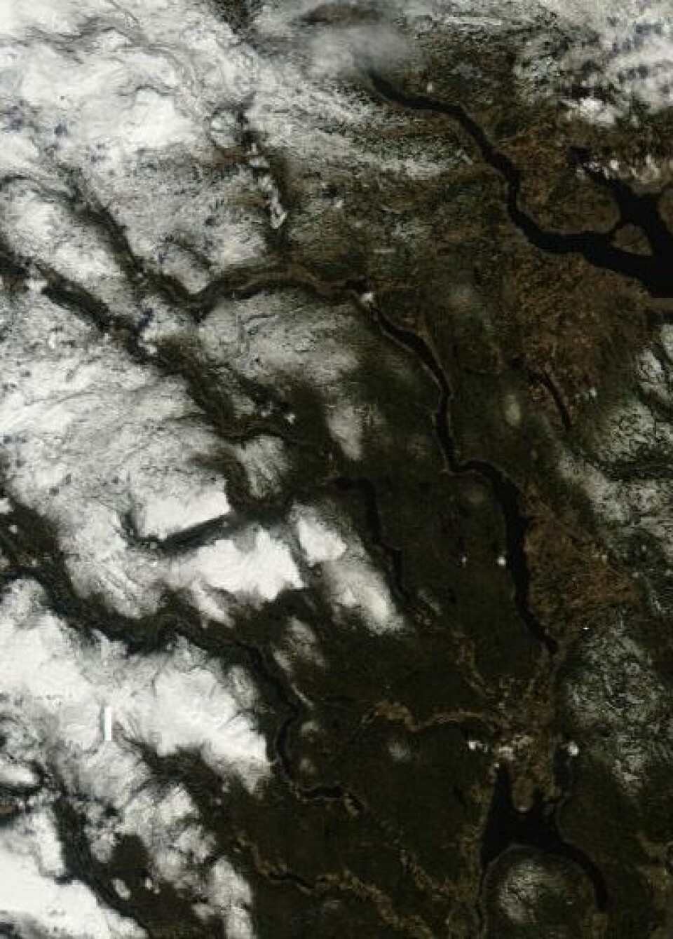ENVISAT er dessverre taus, men den enda eldre NASA-satellitten Terra tar heldigvis fortsatt gode bilder. Her er status for vårens frammarsj i deler av Buskerud og Oppland 28. april. (Foto: (NASA MODIS))