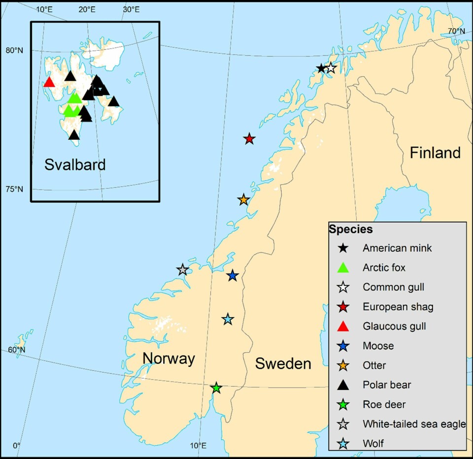 Figuren viser hvor de ulike prøvene ble tatt på Svalbard (trekanter) og Fastlands-Norge (stjerner).