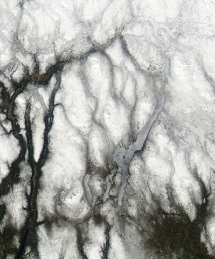 Det er et stykke igjen til sol og sommer i traktene mellom Drevsjø og Røros. Men 1. mai begynte i hvert fall isen på Femunden å vise noen svakhetstegn. Her sett fra NASAs satellitt Aqua. (Foto: (NASA MODIS)) Det er et stykke igjen til sol og sommer i traktene mellom Drevsjø og Røros. Men 1. mai begynte i hvert fall isen på Femunden å vise noen svakhetstegn. Her sett fra NASAs satellitt Aqua. (Foto: (NASA MODIS))