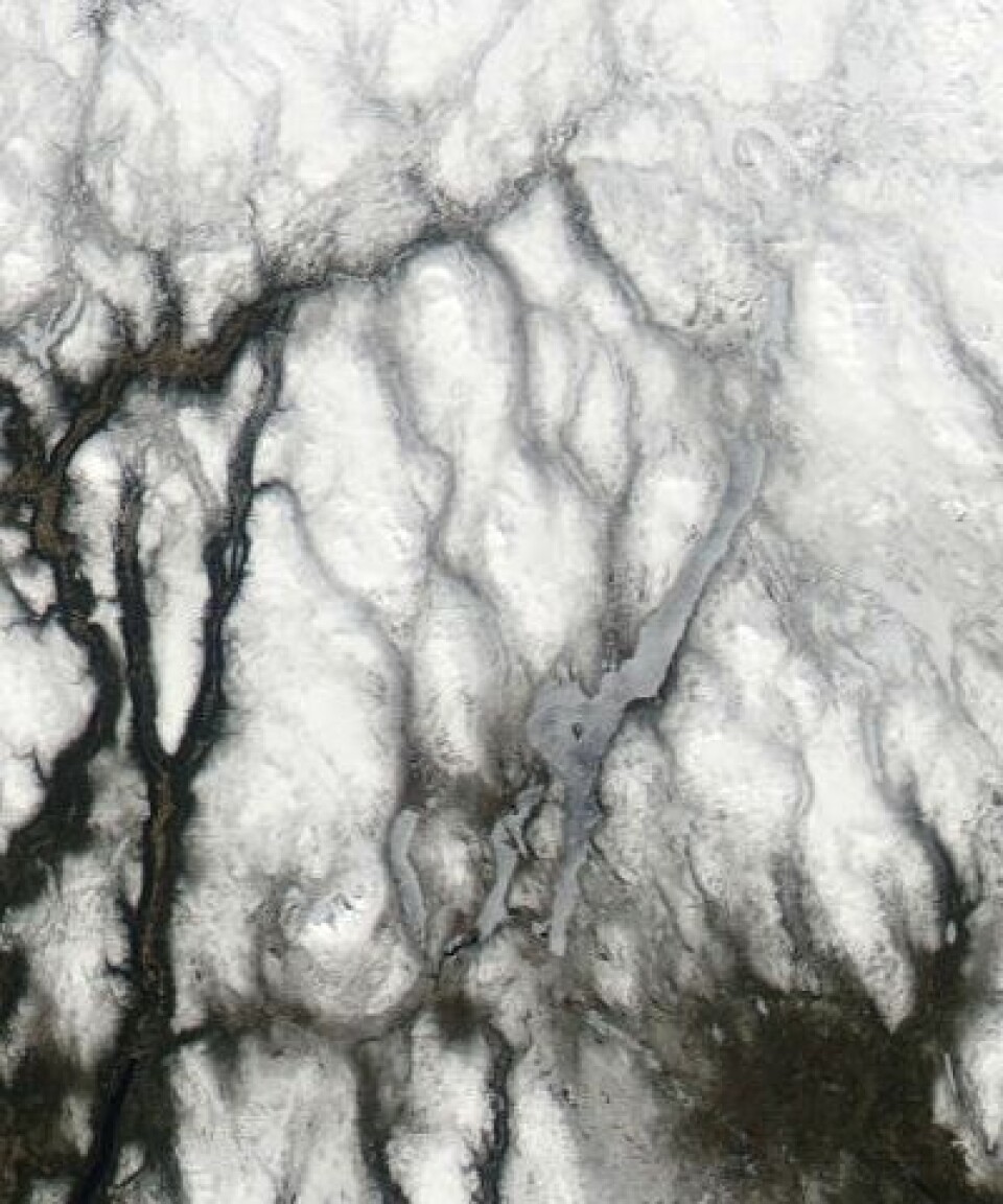 Det er et stykke igjen til sol og sommer i traktene mellom Drevsjø og Røros. Men 1. mai begynte i hvert fall isen på Femunden å vise noen svakhetstegn. Her sett fra NASAs satellitt Aqua. (Foto: (NASA MODIS))