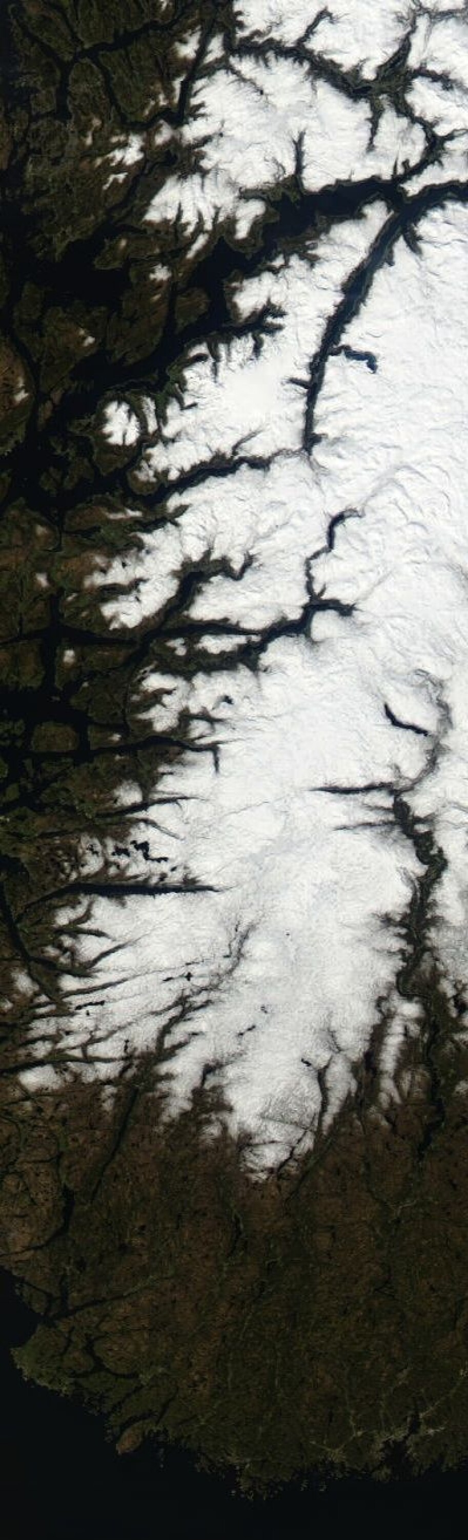 NASAs satellitt Terra hadde klarvær på hele strekningen fra Hardanger til Lindesnes da den passerte 2. mai. (Foto: (NASA MODIS))