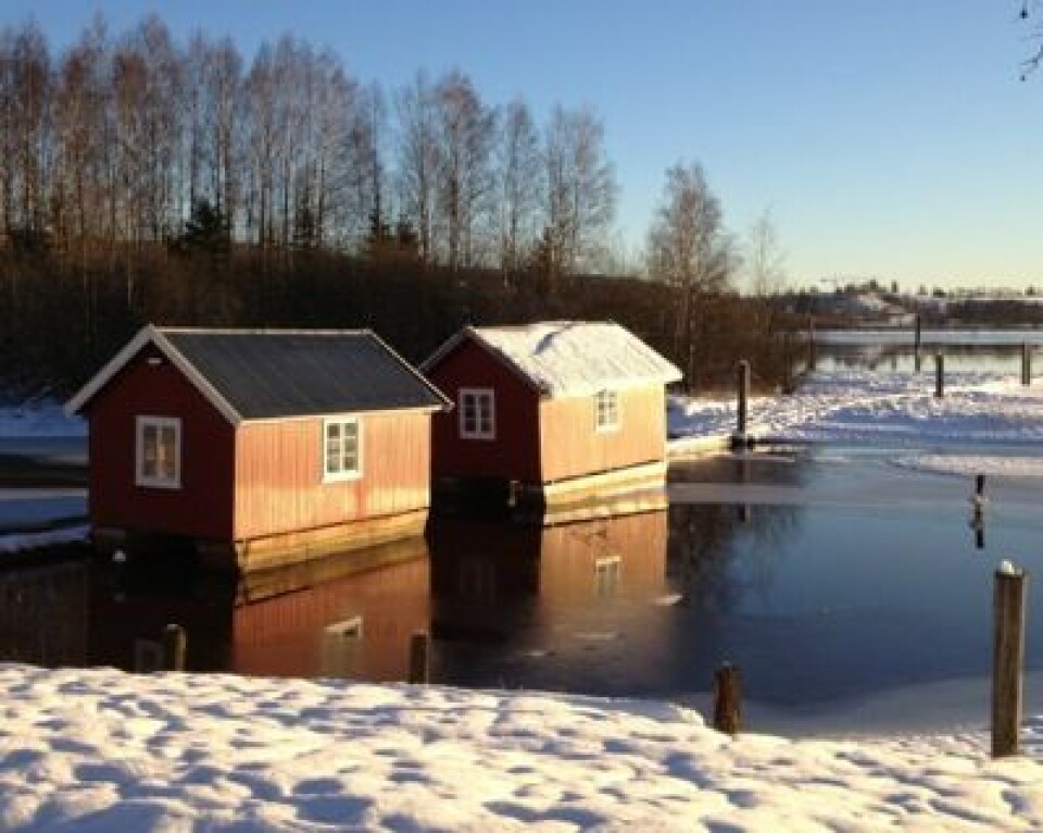 Romjul ved Fetsund Lenser. (Foto: T. Wahl)