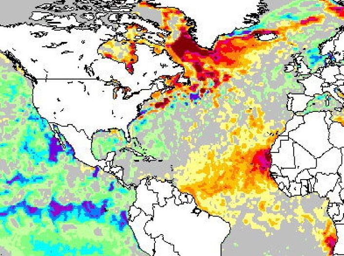 Sjøtemperatur målt fra satellitt 2 desember. Kaldt i Stillehavet (La Nina), varmt i Atlanterhavet. (NOAA) Sjøtemperatur målt fra satellitt 2 desember. Kaldt i Stillehavet (La Nina), varmt i Atlanterhavet. (NOAA)