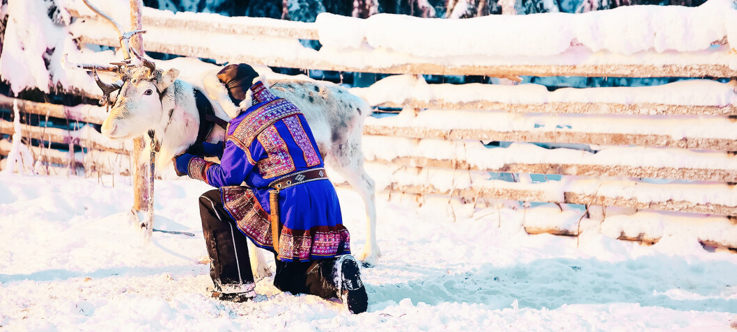 Turistindustrien i Finland bruker og misbruker samisk kulturarv som salgsvare