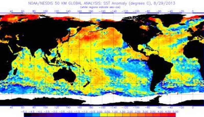 Satellittmålt temperatur i havoverflaten (avvik fra normalen), oppdatert 29. august. (Foto: (NOAA)) Satellittmålt temperatur i havoverflaten (avvik fra normalen), oppdatert 29. august. (Foto: (NOAA))
