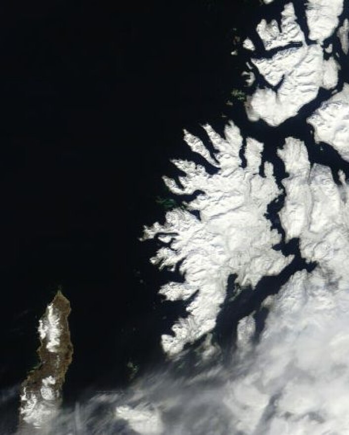 Våren er på vei nordover. Men stor forskjell mellom Andøya og Senja sett fra NASA-satellitten Terra onsdag 9. mai. (Foto: (NASA MODIS)) Våren er på vei nordover. Men stor forskjell mellom Andøya og Senja sett fra NASA-satellitten Terra onsdag 9. mai. (Foto: (NASA MODIS))