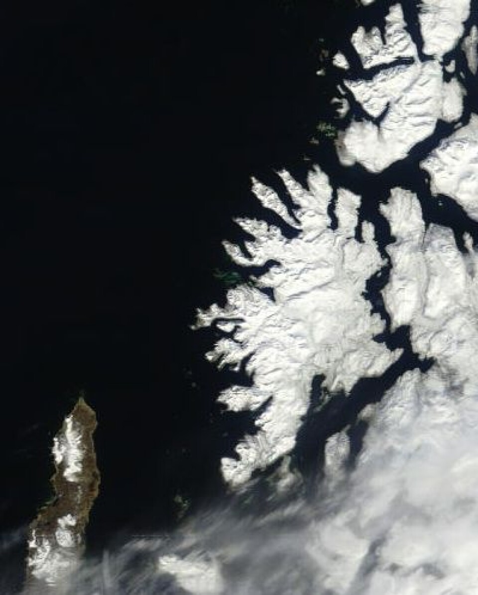 Våren er på vei nordover. Men stor forskjell mellom Andøya og Senja sett fra NASA-satellitten Terra onsdag 9. mai. (Foto: (NASA MODIS))