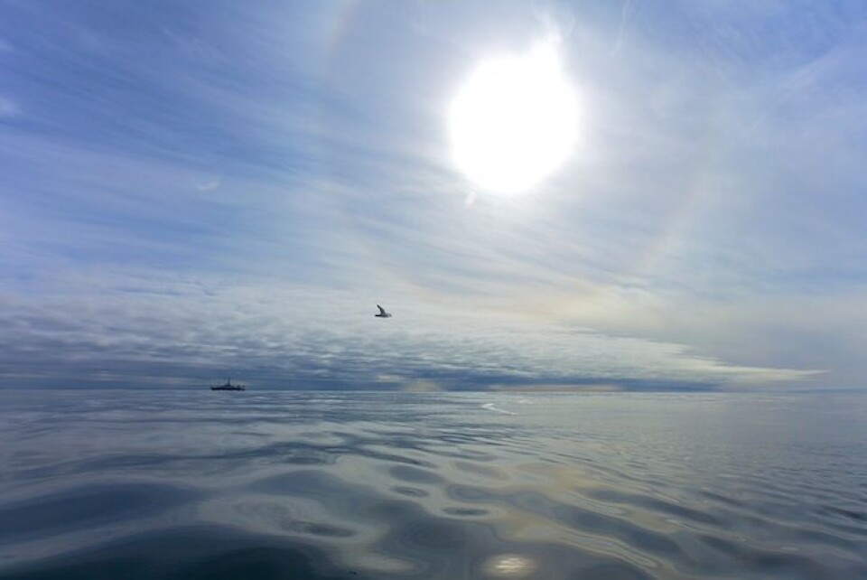 Blikkstille hav i går - i kontrast til tåken og den lett opprørte sjøen vi ser i dag. Foto: Sindre Skrede