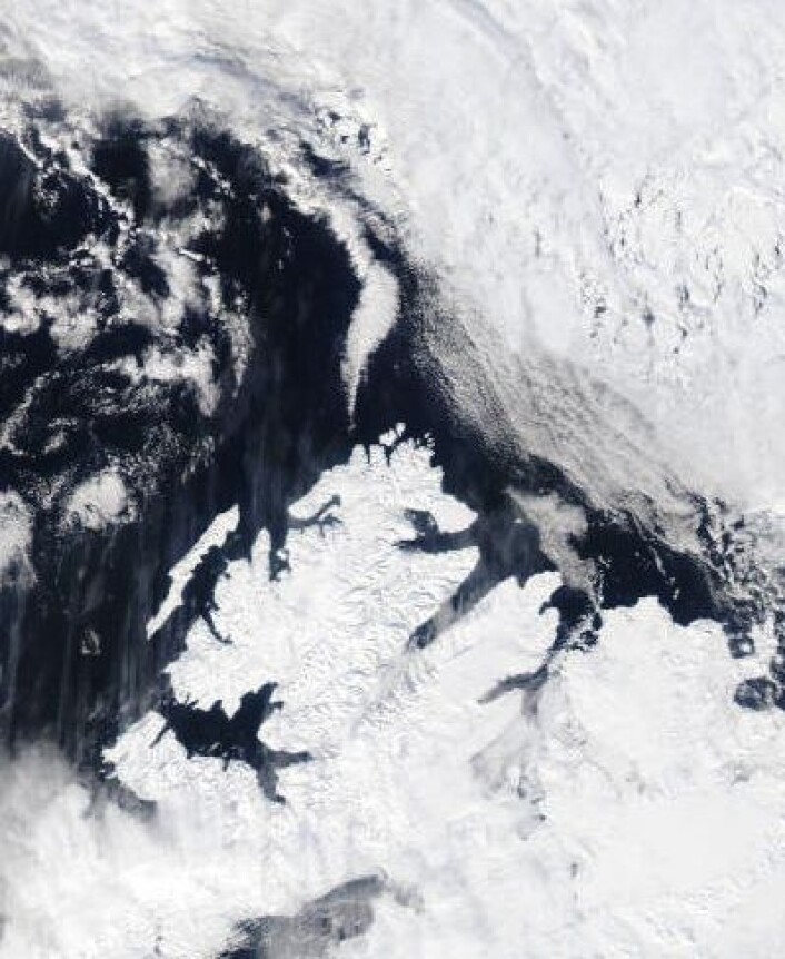 Oversiktsbilde fra Svalbard 13. mai. Fortsatt mye snø, men god klaring til iskanten. (Nord er opp til høyre) (Foto: (NASA Aqua MODIS)) Oversiktsbilde fra Svalbard 13. mai. Fortsatt mye snø, men god klaring til iskanten. (Nord er opp til høyre) (Foto: (NASA Aqua MODIS))