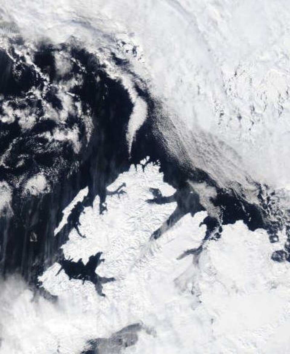 Oversiktsbilde fra Svalbard 13. mai. Fortsatt mye snø, men god klaring til iskanten. (Nord er opp til høyre) (Foto: (NASA Aqua MODIS))