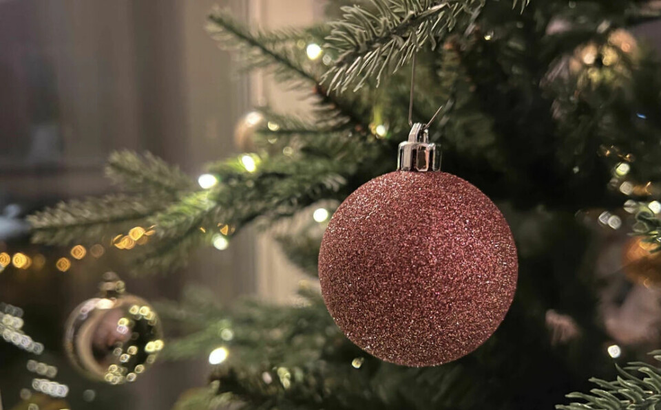 Birds, flags and baubles on the Christmas tree are all hidden symbols