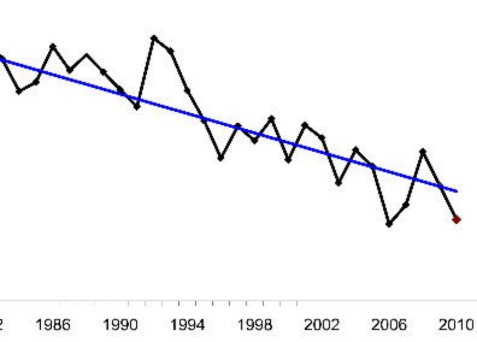 2010: Nest laveste is-areal som er målt i november i Arktis. Og ingen tegn til at denne trenden har tenkt å snu. (National Snow and Ice Data Center, USA).
