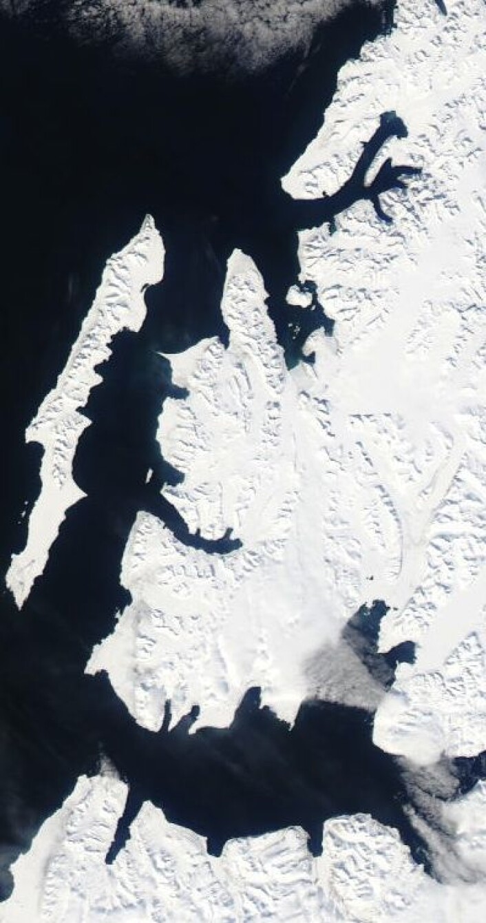 Knallvær på Svalbard formiddagen 17. mai, i følge satellittene. (Foto: (NASA MODIS)) Knallvær på Svalbard formiddagen 17. mai, i følge satellittene. (Foto: (NASA MODIS))