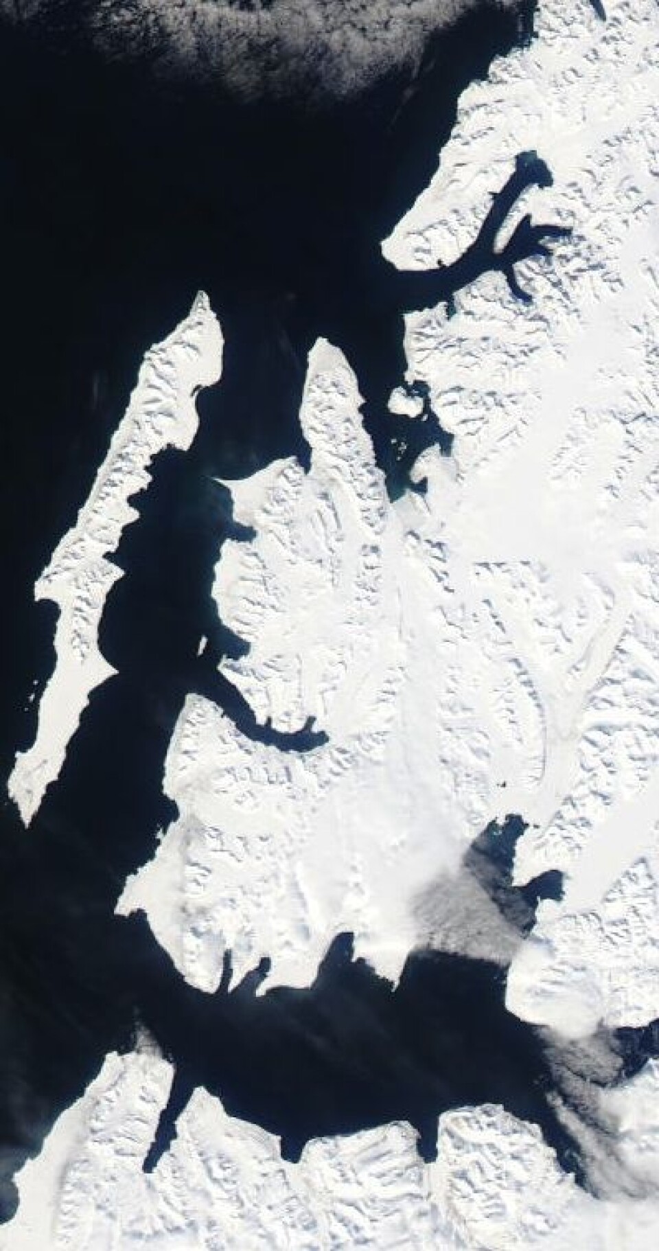 Knallvær på Svalbard formiddagen 17. mai, i følge satellittene. (Foto: (NASA MODIS))