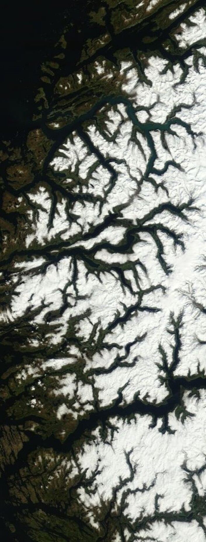 Fagert er landet. Her sett fra drøyt 700 km høyde tidligere i dag. (Foto: (NASA Terra MODIS)) Fagert er landet. Her sett fra drøyt 700 km høyde tidligere i dag. (Foto: (NASA Terra MODIS))