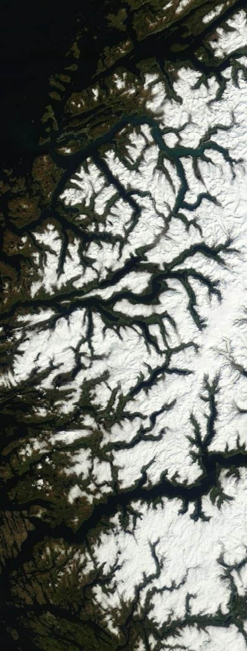 Fagert er landet. Her sett fra drøyt 700 km høyde tidligere i dag. (Foto: (NASA Terra MODIS))